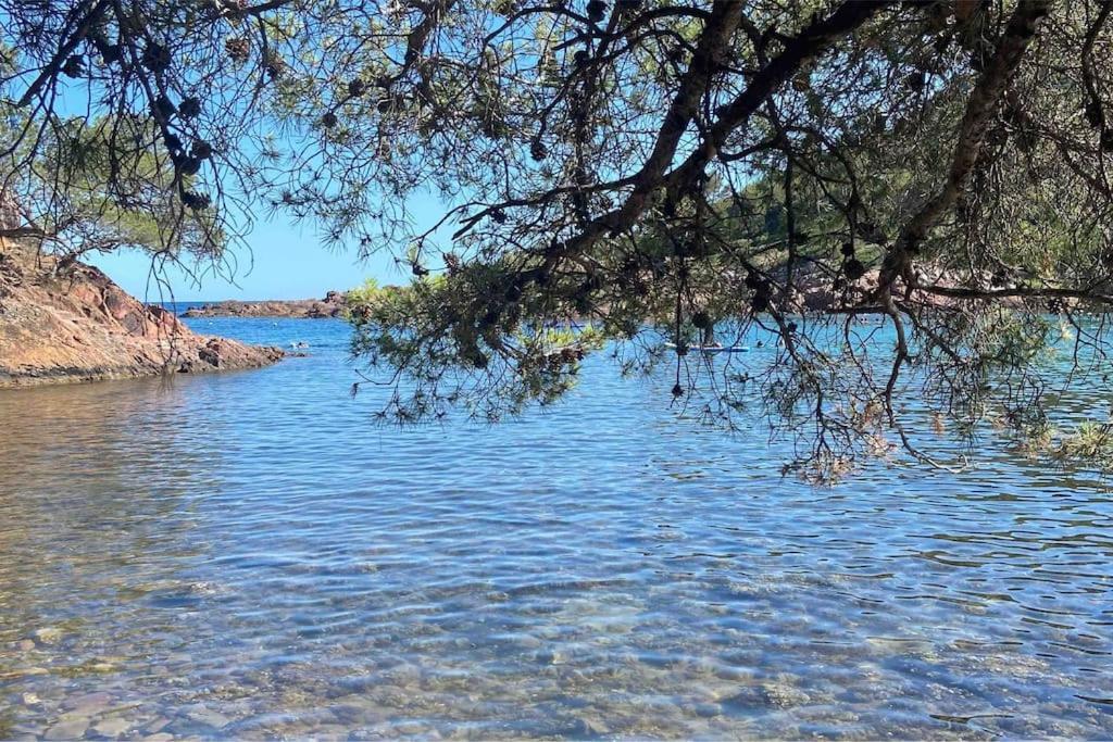 Apartment Apple Cap Esterel *